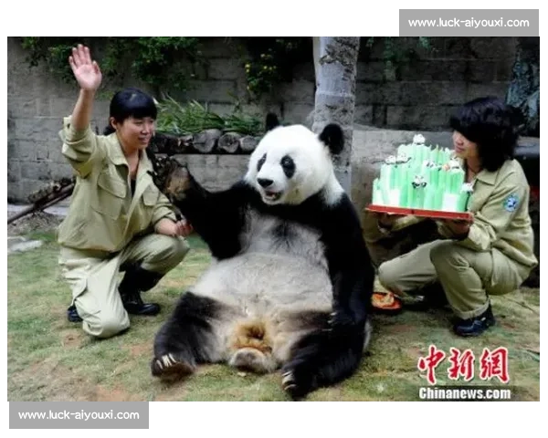 墨西哥为 35 岁大熊猫 “欣欣” 庆生 海外最长寿 “友谊大使” 迎百岁华诞
